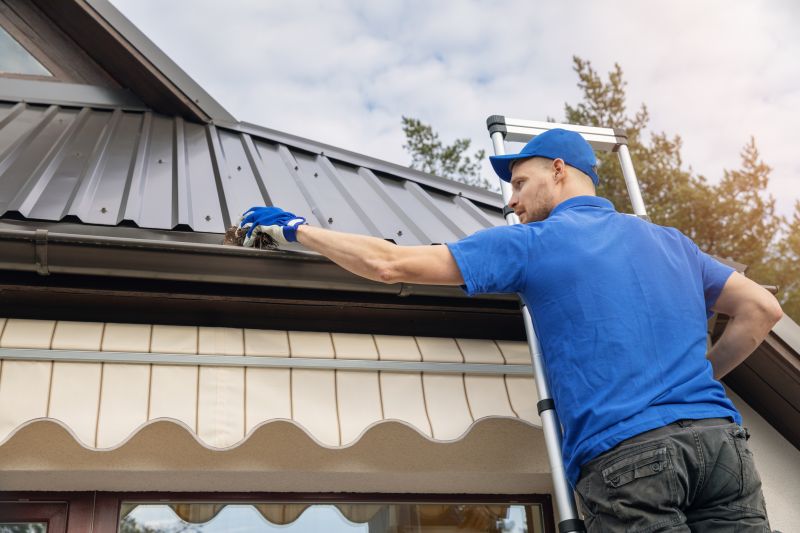 Gutter Cleaning in Ellijay