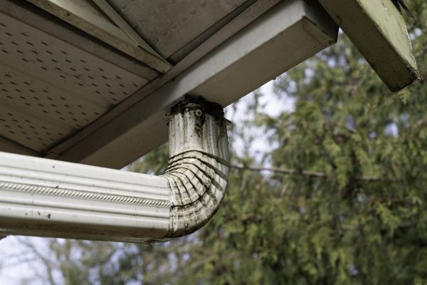 Cost of Roof Drain Replacement in Ellijay